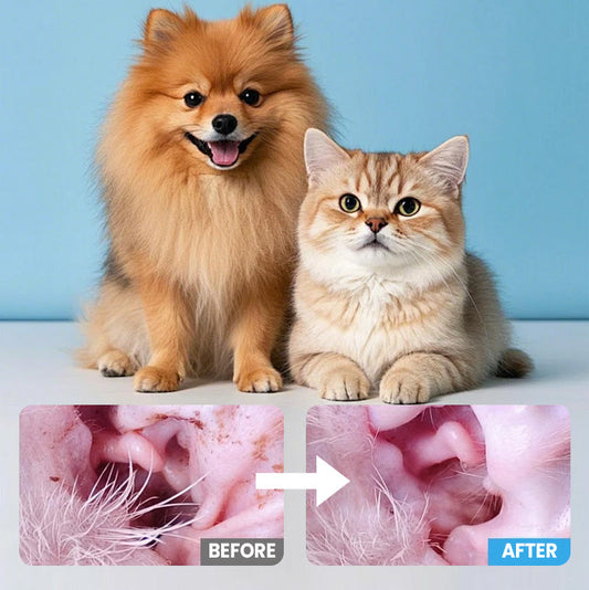 Limited Time Offer 🔥50% OFF Cleaning Swabs for Dogs and Cats